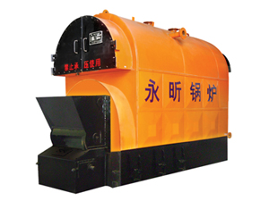CWNL Series Biomass Chain Grate Hot Water Boiler 生物质链条炉主图